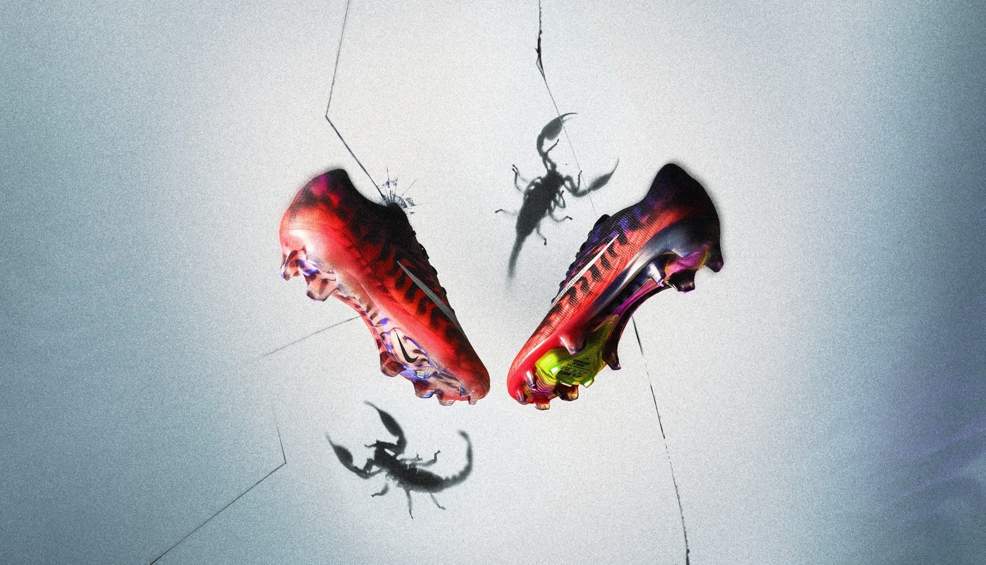 Scorpion Pack